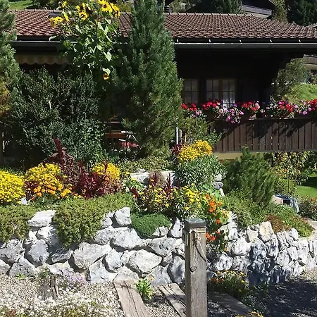 Sunneblueme * Lenk