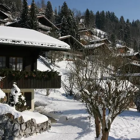 Sunneblueme * Lenk
